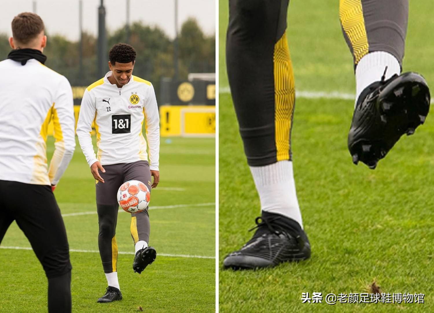 塞尔吉尼奥 塞尔吉尼奥