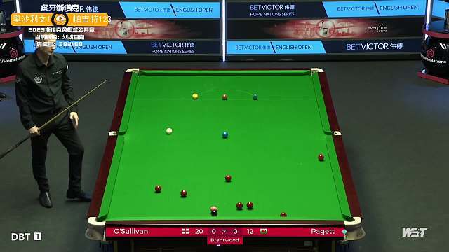 体育精神的 体育精神的